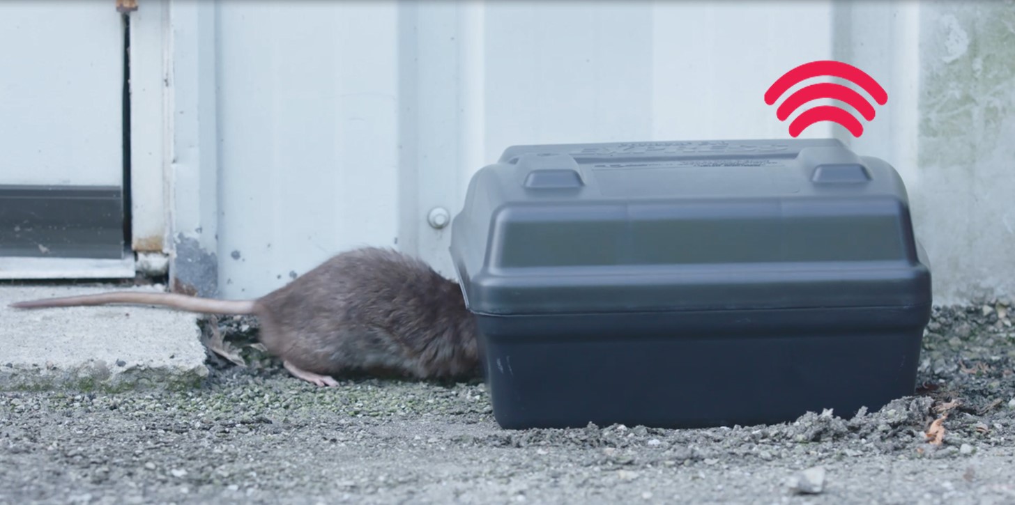 Bell iQ exterior station with a rat nearby, showing wireless activity sensing technology