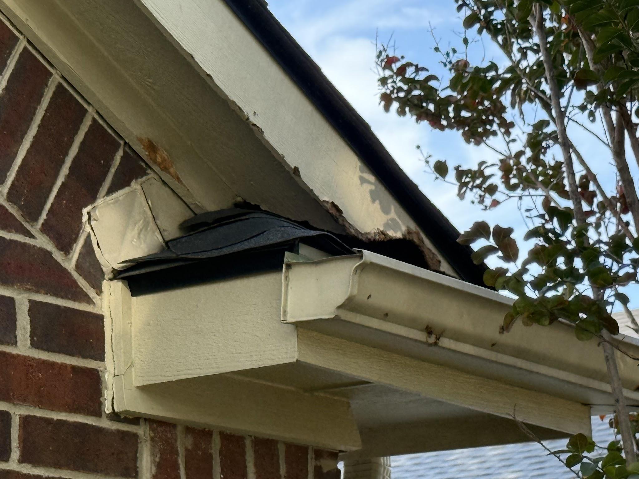 Roofline detail examined during a rodent inspection