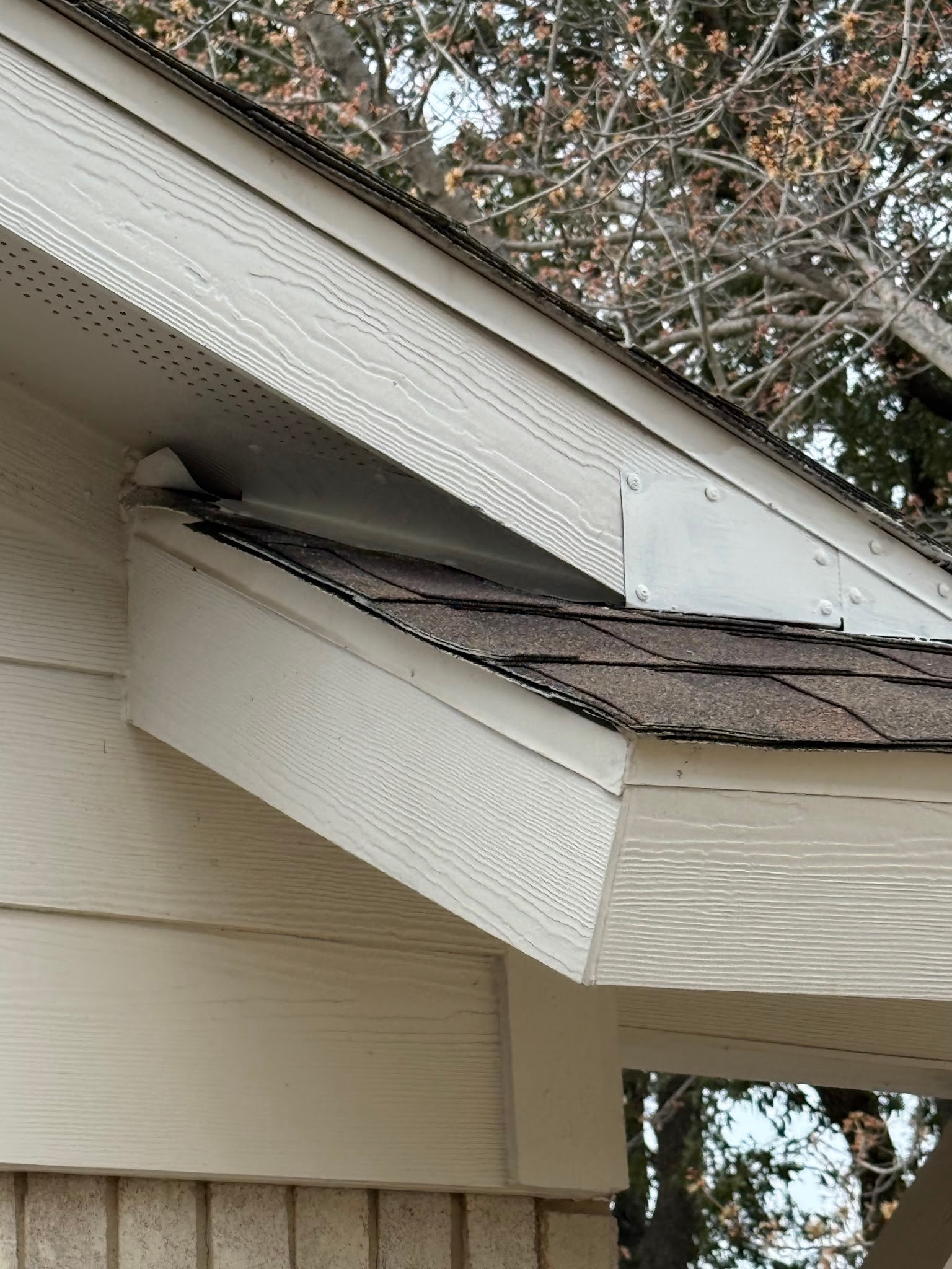 Roofline construction detail inspected during rodent exclusion