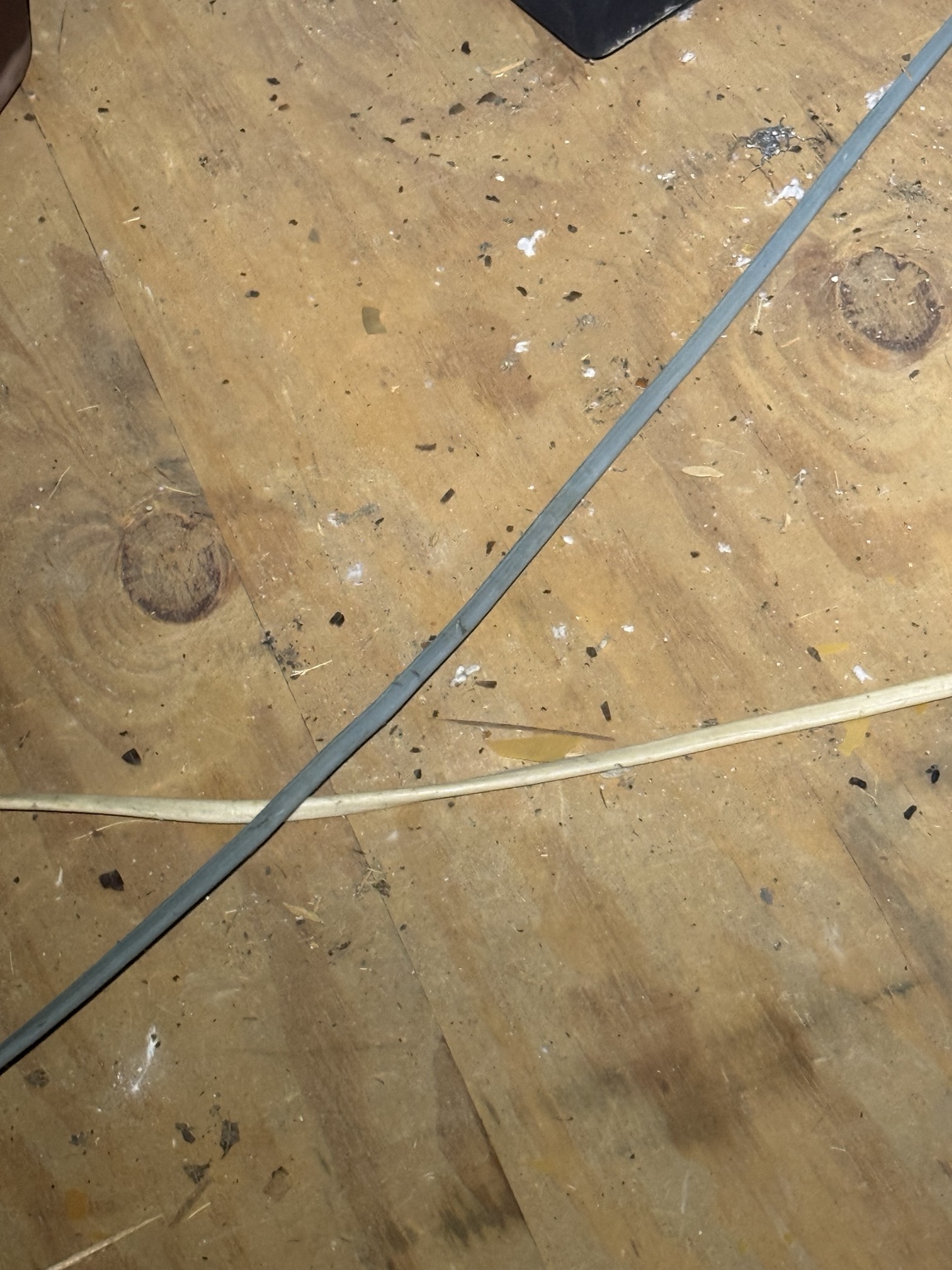 Mouse droppings on attic flooring