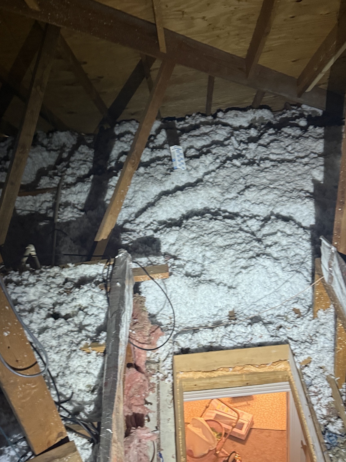 Attic insulation with visible rat evidence