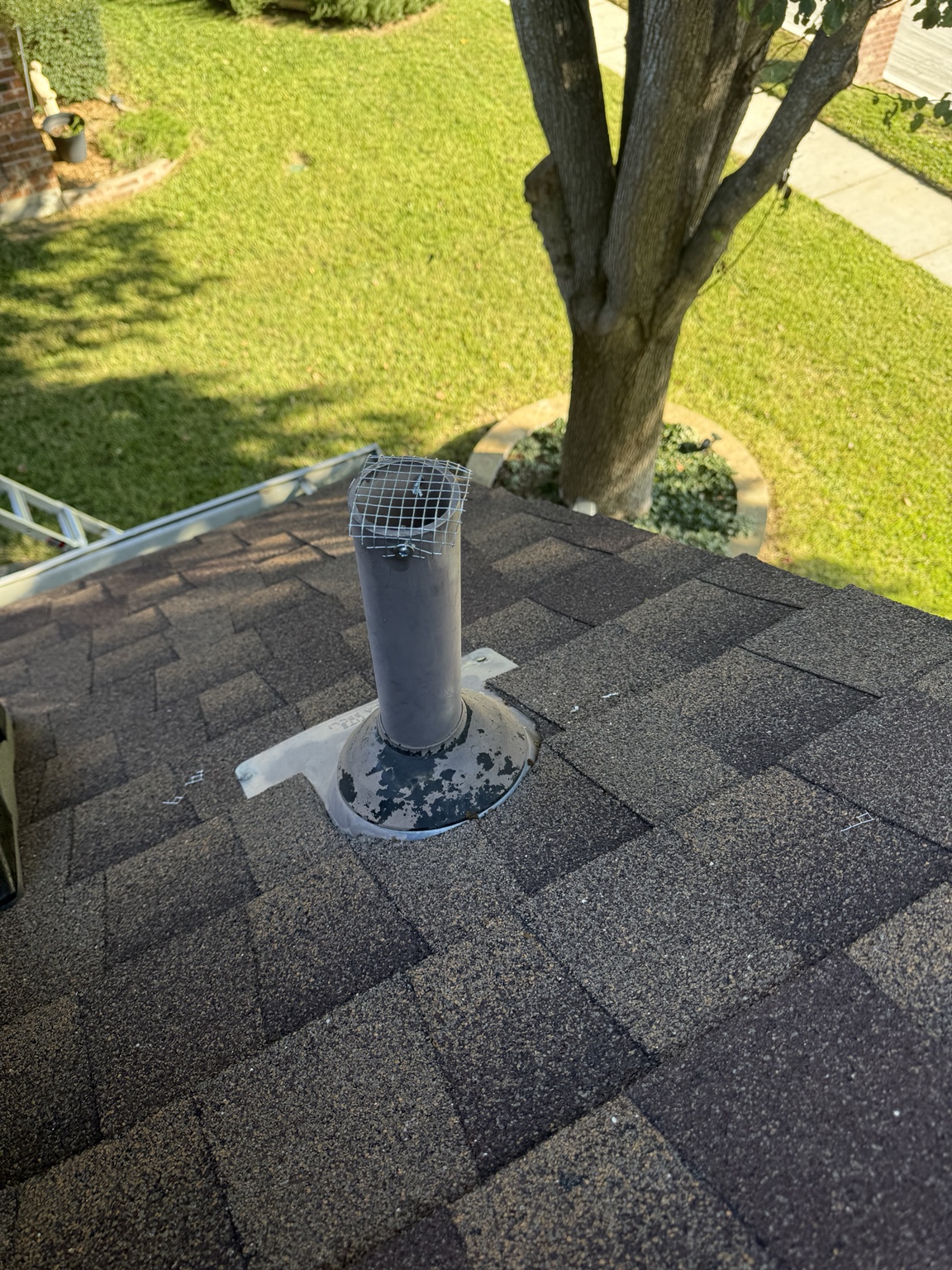 A chimney opening protected with a wire guard cap