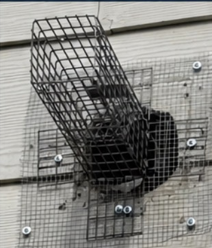 One-way door installed over a squirrel entry point